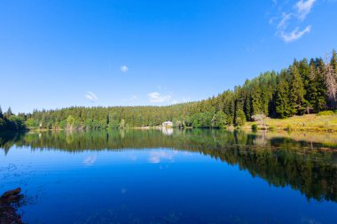 Artvin savsat karagol olarak da bilinir. Yeşil orman ve mavi gökyüzü arkaplanı ile Kara Göl olarak da bilinir.