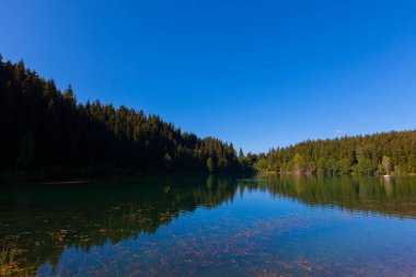 Artvin savsat karagol olarak da bilinir. Yeşil orman ve mavi gökyüzü arkaplanı ile Kara Göl olarak da bilinir.