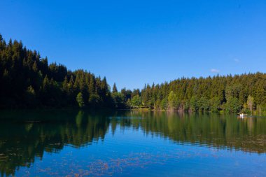 Artvin savsat karagol olarak da bilinir. Yeşil orman ve mavi gökyüzü arkaplanı ile Kara Göl olarak da bilinir.