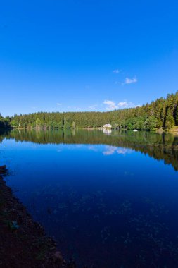 Artvin savsat karagol olarak da bilinir. Yeşil orman ve mavi gökyüzü arkaplanı ile Kara Göl olarak da bilinir.