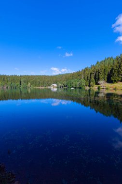 Artvin savsat karagol olarak da bilinir. Yeşil orman ve mavi gökyüzü arkaplanı ile Kara Göl olarak da bilinir.