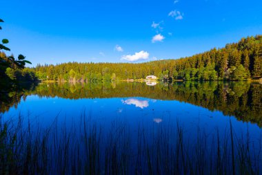 Artvin savsat karagol olarak da bilinir. Yeşil orman ve mavi gökyüzü arkaplanı ile Kara Göl olarak da bilinir.
