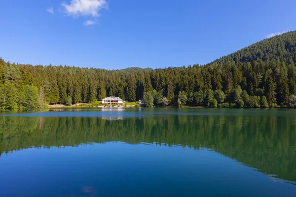 Artvin Savsat Karagol Известен Черное Озеро Зеленым Лесом Голубым Небом — стоковое фото