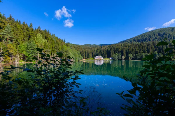Artvin Savsat Karagol También Conocido Como Lago Negro Con Bosque — Foto de Stock