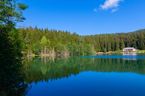 Artvin Savsat Karagol Olarak Bilinir Yeşil Orman Mavi Gökyüzü Arkaplanı — Stok fotoğraf