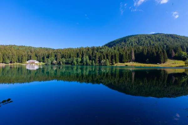 Artvin Savsat Karagol Olarak Bilinir Yeşil Orman Mavi Gökyüzü Arkaplanı — Stok fotoğraf