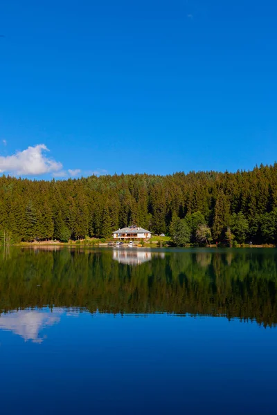 Artvin savsat karagol olarak da bilinir. Yeşil orman ve mavi gökyüzü arkaplanı ile Kara Göl olarak da bilinir.