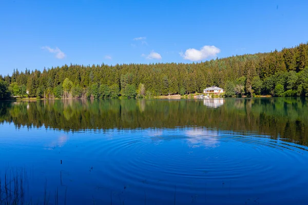 緑の森と青い空の背景と湖の反射と黒湖としても知られているArtvin Savsat Karagol — ストック写真