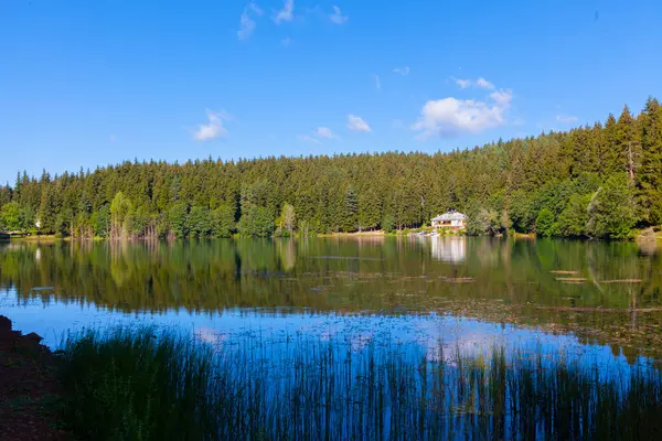 Artvin Savsat Karagol También Conocido Como Lago Negro Con Bosque — Foto de Stock