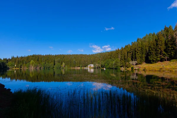 Artvin Savsat Karagol Ook Bekend Als Zwarte Meer Met Groen — Stockfoto