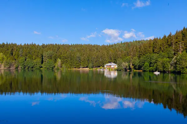 Artvin Savsat Karagol Também Conhecido Como Lago Negro Com Floresta — Fotografia de Stock