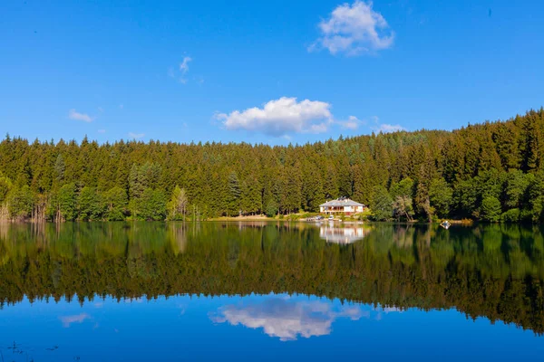 緑の森と青い空の背景と湖の反射と黒湖としても知られているArtvin Savsat Karagol — ストック写真