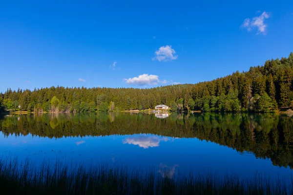 Artvin Savsat Karagol También Conocido Como Lago Negro Con Bosque — Foto de Stock