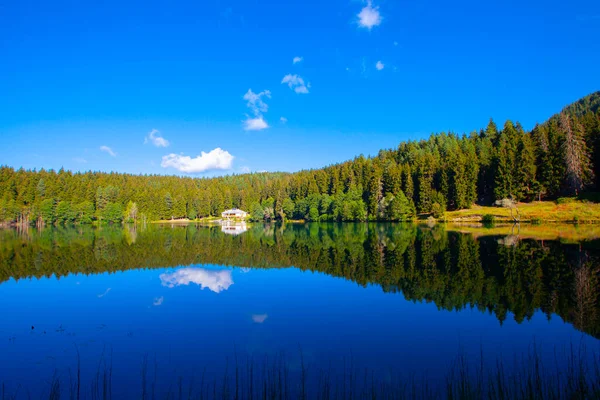 Artvin Savsat Karagol Also Known Black Lake Green Forest Blue — Stock Photo, Image