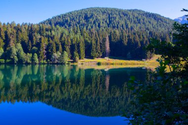 Artvin savsat karagol olarak da bilinir. Yeşil orman ve mavi gökyüzü arkaplanı ile Kara Göl olarak da bilinir.