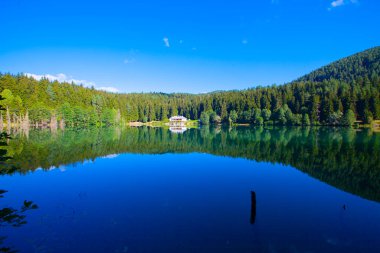 Artvin savsat karagol olarak da bilinir. Yeşil orman ve mavi gökyüzü arkaplanı ile Kara Göl olarak da bilinir.