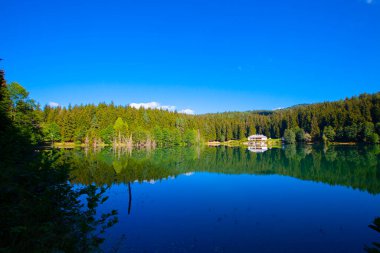 Artvin savsat karagol olarak da bilinir. Yeşil orman ve mavi gökyüzü arkaplanı ile Kara Göl olarak da bilinir.