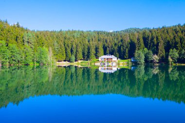 Artvin savsat karagol olarak da bilinir. Yeşil orman ve mavi gökyüzü arkaplanı ile Kara Göl olarak da bilinir.
