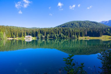 Artvin savsat karagol olarak da bilinir. Yeşil orman ve mavi gökyüzü arkaplanı ile Kara Göl olarak da bilinir.