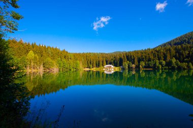 Artvin savsat karagol olarak da bilinir. Yeşil orman ve mavi gökyüzü arkaplanı ile Kara Göl olarak da bilinir.