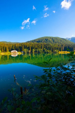 Artvin savsat karagol olarak da bilinir. Yeşil orman ve mavi gökyüzü arkaplanı ile Kara Göl olarak da bilinir.