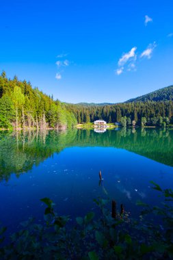 Artvin savsat karagol olarak da bilinir. Yeşil orman ve mavi gökyüzü arkaplanı ile Kara Göl olarak da bilinir.
