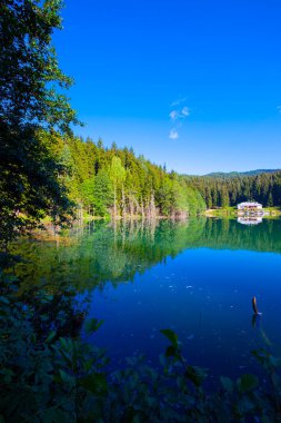 Artvin savsat karagol olarak da bilinir. Yeşil orman ve mavi gökyüzü arkaplanı ile Kara Göl olarak da bilinir.