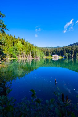 Artvin savsat karagol olarak da bilinir. Yeşil orman ve mavi gökyüzü arkaplanı ile Kara Göl olarak da bilinir.