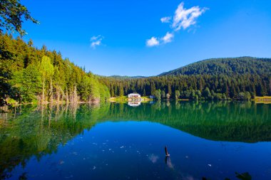 Artvin savsat karagol olarak da bilinir. Yeşil orman ve mavi gökyüzü arkaplanı ile Kara Göl olarak da bilinir.