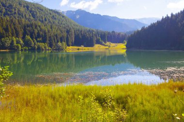 Artvin savsat karagol olarak da bilinir. Yeşil orman ve mavi gökyüzü arkaplanı ile Kara Göl olarak da bilinir.
