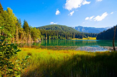 Artvin savsat karagol olarak da bilinir. Yeşil orman ve mavi gökyüzü arkaplanı ile Kara Göl olarak da bilinir.