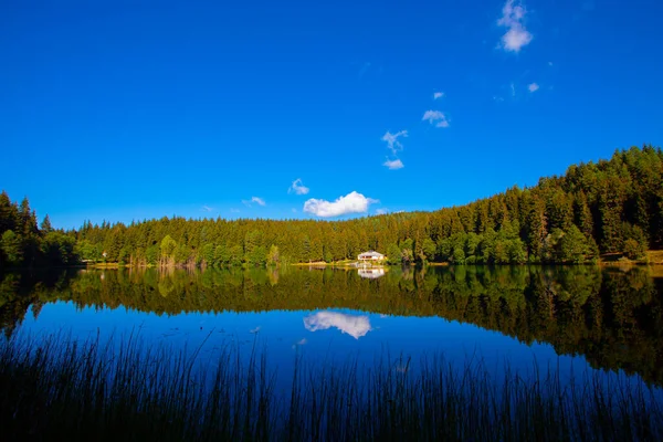 Artvin Savsat Karagol También Conocido Como Lago Negro Con Bosque —  Fotos de Stock