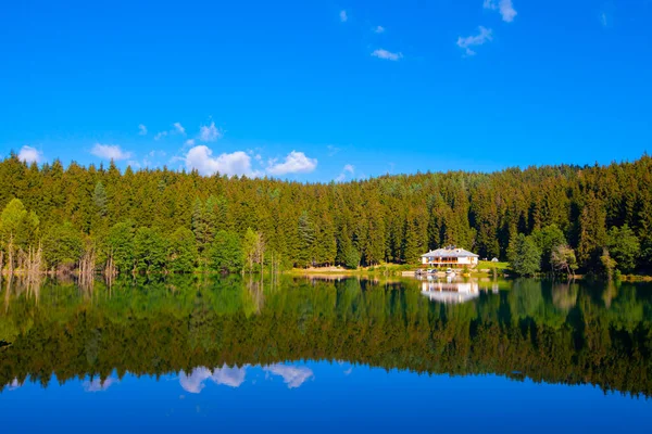 Artvin Savsat Karagol Também Conhecido Como Lago Negro Com Floresta — Fotografia de Stock