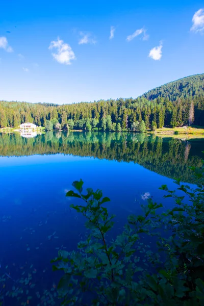 Artvin Savsat Karagol Також Відомий Чорне Озеро Зеленим Лісом Синім — стокове фото