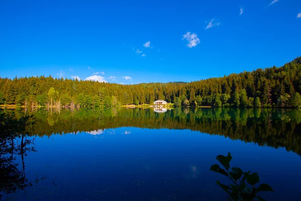 Artvin Savsat Karagol Olarak Bilinir Yeşil Orman Mavi Gökyüzü Arkaplanı — Stok fotoğraf