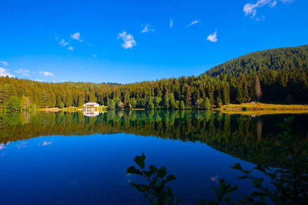 Artvin Savsat Karagol Olarak Bilinir Yeşil Orman Mavi Gökyüzü Arkaplanı — Stok fotoğraf