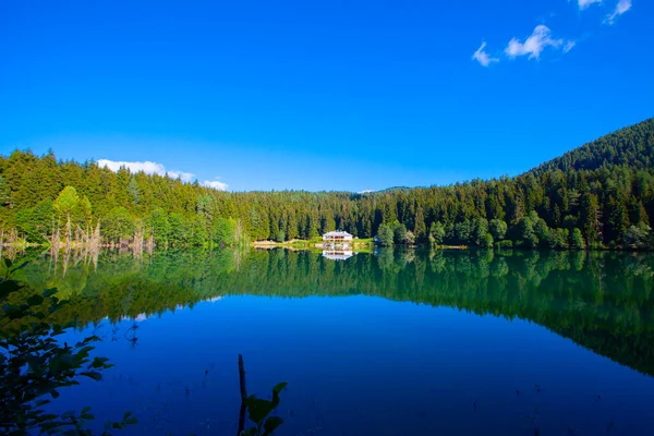 Artvin Savsat Karagol Auch Bekannt Als Schwarzer See Mit Grünem — Stockfoto