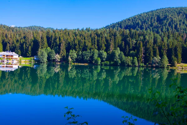 Artvin Savsat Karagol Também Conhecido Como Lago Negro Com Floresta — Fotografia de Stock