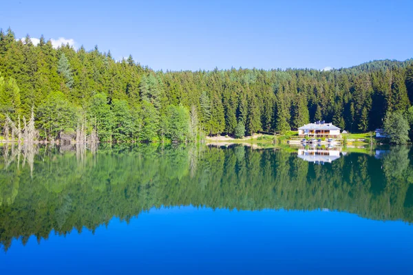 Artvin Savsat Karagol Olarak Bilinir Yeşil Orman Mavi Gökyüzü Arkaplanı — Stok fotoğraf