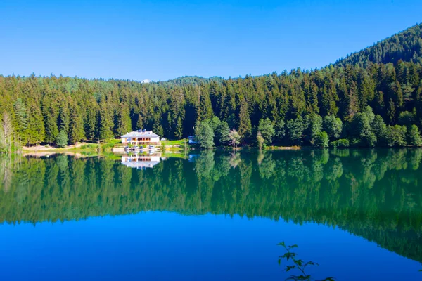 Artvin Savsat Karagol Também Conhecido Como Lago Negro Com Floresta — Fotografia de Stock