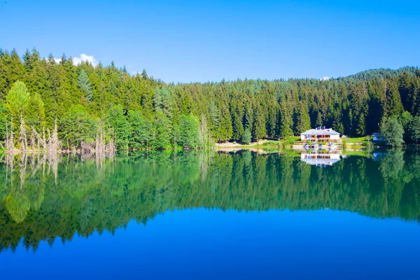 Artvin Savsat Karagol Noto Anche Come Lago Nero Con Foresta — Foto Stock