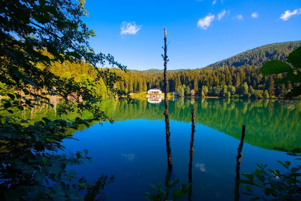 Artvin Savsat Karagol也被称为黑湖 绿林蓝天背景及其在湖上的反射 — 图库照片
