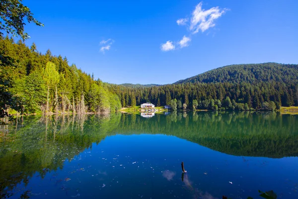 Artvin Savsat Karagol Noto Anche Come Lago Nero Con Foresta — Foto Stock