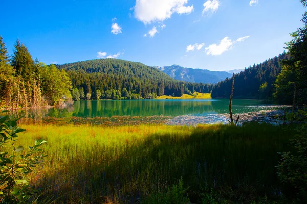 Artvin Savsat Karagol También Conocido Como Lago Negro Con Bosque —  Fotos de Stock