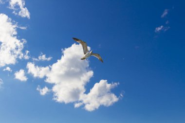 İstanbul Marmara Denizi 'ndeki eski tarihi binalar
