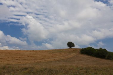 Eber Gölü, Bolvadin, Afyon / Türkiye