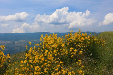 Afyon 'un Cay ve Bolvadin ilçeleri arasında yer alan Eber Gölü, Türkiye' nin 12. büyük gölüdür.