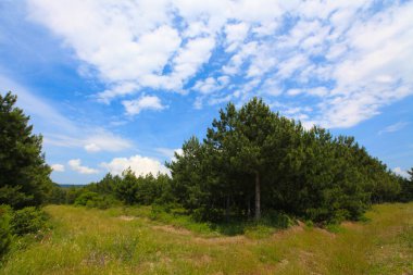 Afyon 'un Cay ve Bolvadin ilçeleri arasında yer alan Eber Gölü, Türkiye' nin 12. büyük gölüdür.