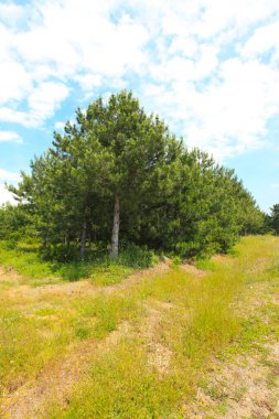 Afyon 'un Cay ve Bolvadin ilçeleri arasında yer alan Eber Gölü, Türkiye' nin 12. büyük gölüdür.