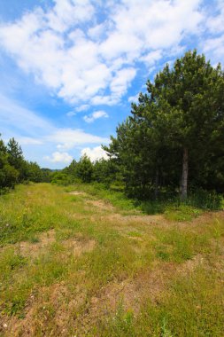 Afyon 'un Cay ve Bolvadin ilçeleri arasında yer alan Eber Gölü, Türkiye' nin 12. büyük gölüdür.